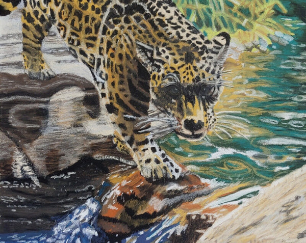 Pastel Pet Portraits 11x14