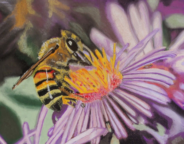 HONEY BEE AND CONE FLOWER Karen Strum Original Pastels 16x20