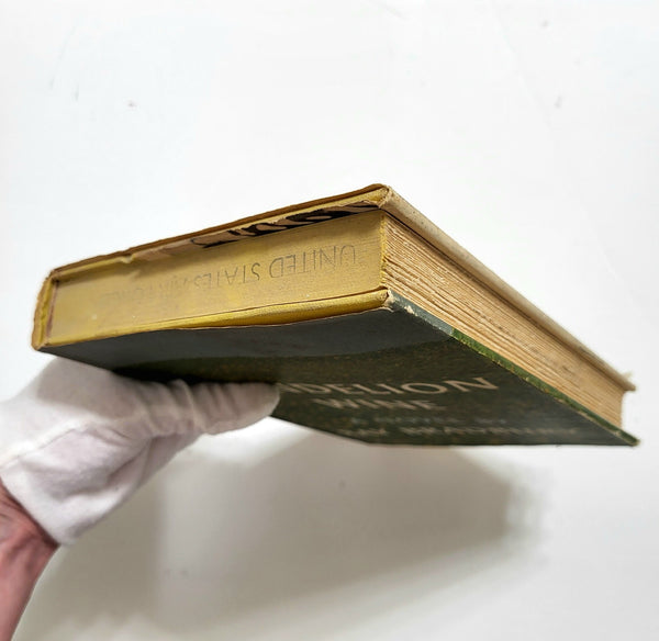 45310858