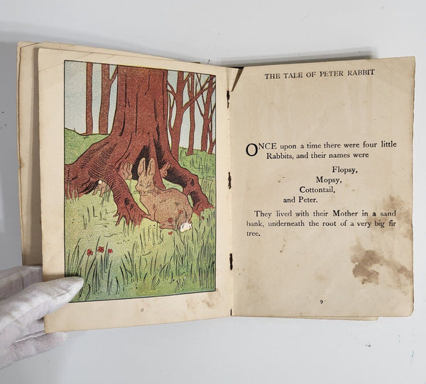 1907 TALE OF PETER RABBIT Beatrix Potter Hardcover