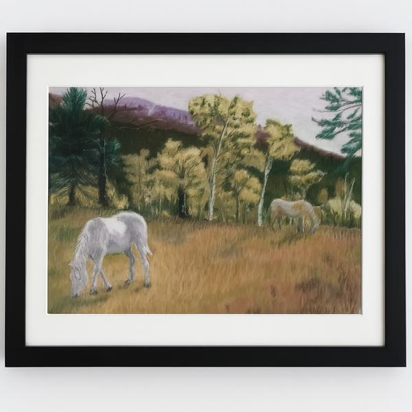 White Horses Pastel Drawing – Original 11x14 Artwork of Horses in Meadow...