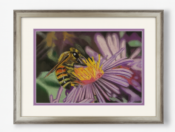 Honeybee and Cone Flower – Original Pastel Painting (Framed & Matted)