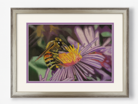 Honeybee and Cone Flower – Original Pastel Painting (Framed & Matted)